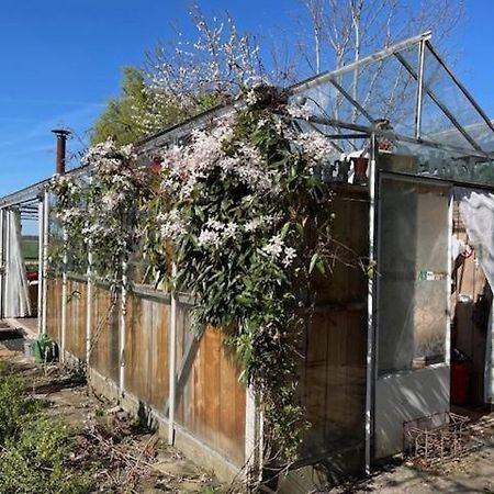 Vrijstaande Accommodatie Glamping De Kas Inn Hank Exterior photo